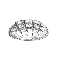 Vector Bakery Sketch. Hand Drawn Illustration Of A Loaf Of Sourdough Bread. Isolated