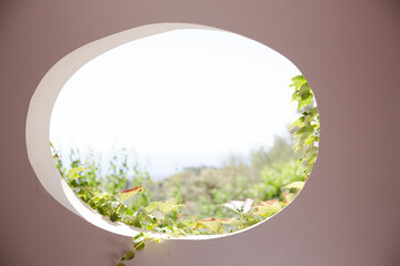 View of garden through oval window