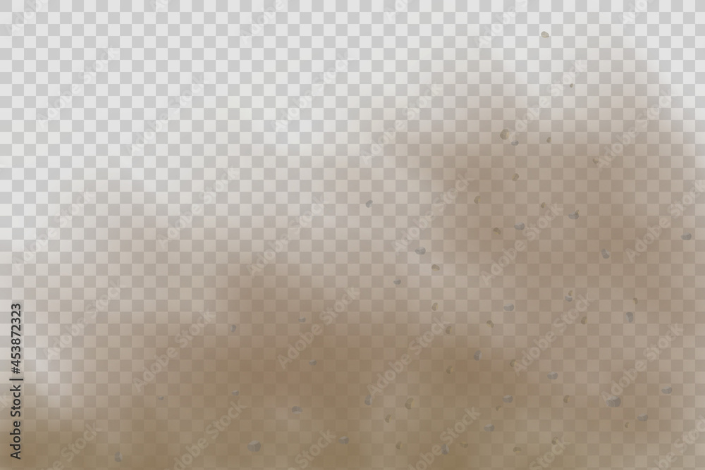 Realistic vector isolated on transparent background.Dust cloud with ...