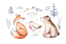 Watercolor Winter Forest Animals Deer With Fawn, Owl Rabbits, Bear Birds On White Background. Wild Forest Fox And Squirrel Animals Set. Hand Painted Winter Illustration