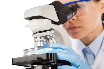 Wall Mural - lab.