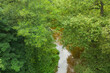 Mała, nieuregulowana, dzika rzeka płynąca pośród gęstych zarośli. Po intensywnych opadach deszczu woda ma brązowy kolor.