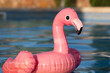 plastic floaty flamingo in pool