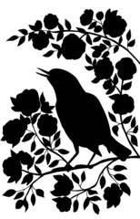 Poster - Black silhouette of a bird on a branch on a white background