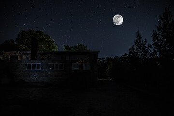 Wall Mural - old house with a ghost in the forest at night or abandoned haunted horror house in fog. old mystic b