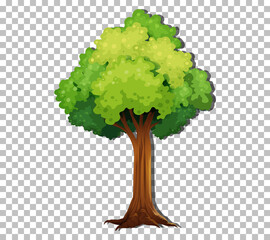 Wall Mural - A tree isolated on transparent background