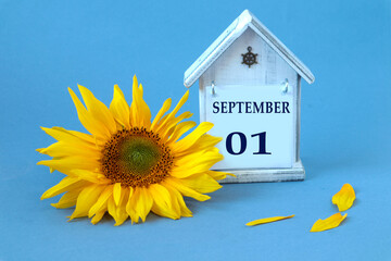 Calendar for September 1 : decorative house with the name of the month in English, numbers 01, yellow sunflower flower, scattered petals on a blue background, side view