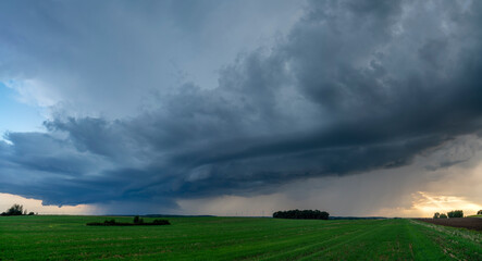 Wall Mural - thunderstorm over fields, a huge storm cloud that causes heavy rainfall