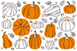 Set of pumpkins. Pumpkin of different shapes and colors.
Thanksgiving design. Autumn pumpkin.