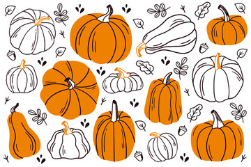 Set of pumpkins. Pumpkin of different shapes and colors.
Thanksgiving design. Autumn pumpkin.