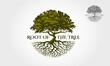 Root Of The Tree Vector Logo Template. The vector logo this beautiful tree is a symbol of life, beauty, growth, strength, and good health.