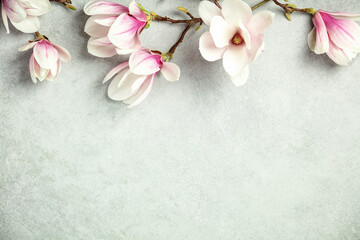 Wall Mural - spring magnolia flowers on grey stone background
