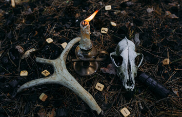 Wall Mural - Burning candle and old scull in enchanted forest. Occult, esoteric concept.