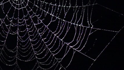 sparkling spider web with water drops swaying in wind at night. scary halloween decoration. slow mot