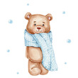 Teddy bear with blue scarf; watercolor hand drawn illustration; with white isolated background