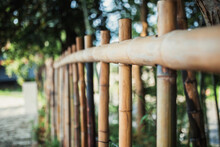 Bamboo Fence - Handcrafted Rural Bamboo Tree Trunk Fence