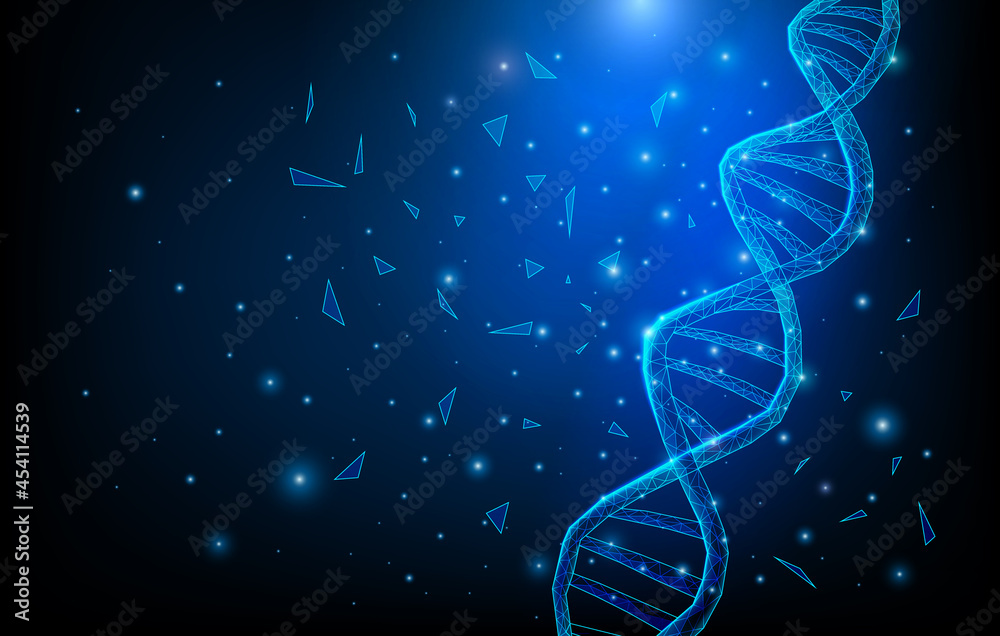 Wireframe DNA molecules structure mesh low poly consisting of points ...