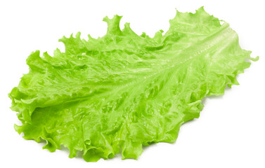 Wall Mural - Salad leaf. One green lettuce isolated on white background. clipping path