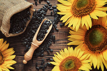 Canvas Bag Of Sunflower Seeds, Scattered Black Seeds And Beautiful Yellow Sunflowers On Wooden Board, Top View.