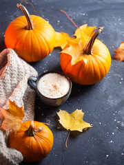 Wall Mural - A cup of coffee latte or cappuccino with pumpkin on a dark table with autumn maple leaves, a warm knitted scarf and ripe pumpkins