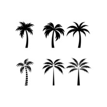 Vector Logo Design Template With Palm Tree - Abstract Summer And Vacation Badge And Emblem For Holiday Rentals, Travel Services, Tropical Spa And Beauty Studios.