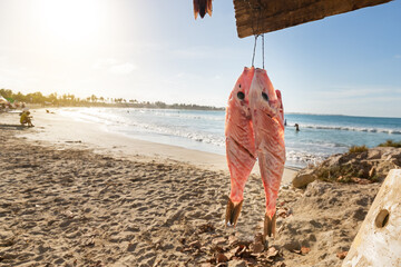 Freshly catch salwater fish hanging on wood