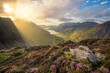 Breathtaking view of Buttermere and Crummock Water in the English Lake District taken on a sunny Summer evening. Dramatic light illuminating mountain range with Heather in foreground. 