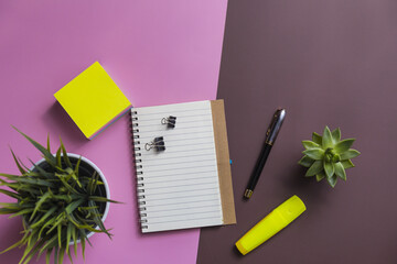 Top view shot of a notebook, sticky paper, pen, and two plants on a pink and brown background