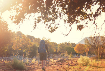 Canvas Print - In hike