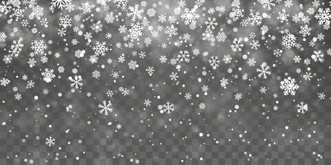 Wall Mural - Christmas snow. Falling snowflakes on transparent background. Snowfall. Vector illustration