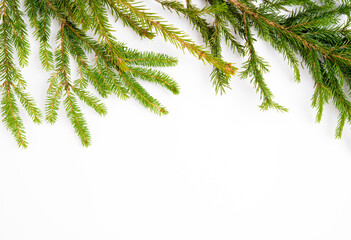 Wall Mural - Christmas white background with a spruce branch, flat lay, top view