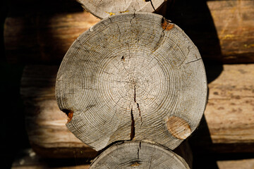 Poster - cut of a log close-up in a wooden house