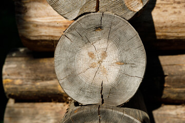 Wall Mural - cut of a log close-up in a wooden house