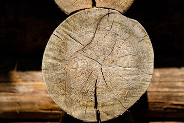 Poster - cut of a log close-up in a wooden house