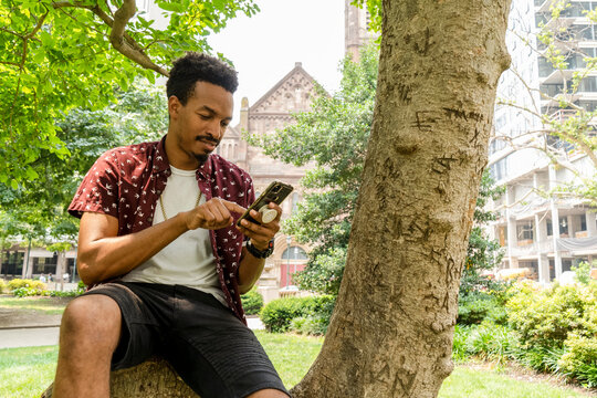 Man with smart phone sitting on tree in park