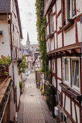 Wall Mural - Unesco World Heritage Upper Middle Rhine Valley