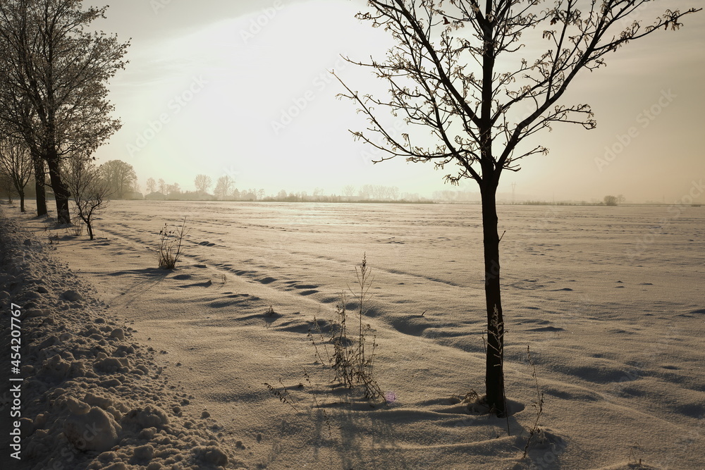 Obraz na płótnie Zima, śnieg, pola w salonie