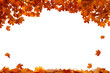 © Lilya - Autumn colored falling maple leaves isolated on white background
