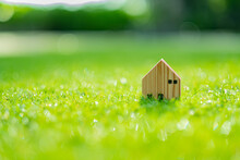Miniature House Model On Grass Background
