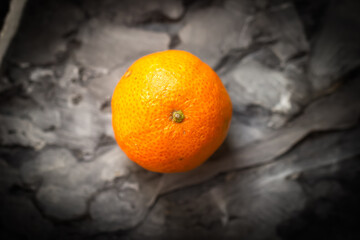 Wall Mural - Citrus fruit