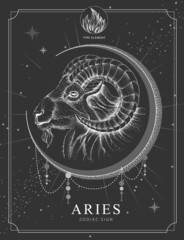 Modern magic witchcraft card with astrology Aries zodiac sign. Realistic hand drawing ram or mouflon head