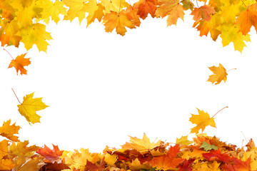 Wall Mural - beautiful yellow,red,orange foliage. natural background. border frame of colorful leaves. vibrant fa