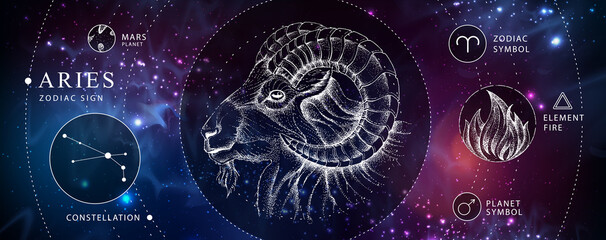 Wall Mural - Modern magic witchcraft card with astrology Aries zodiac sign. Realistic hand drawing ram or mouflon head. Zodiac characteristic