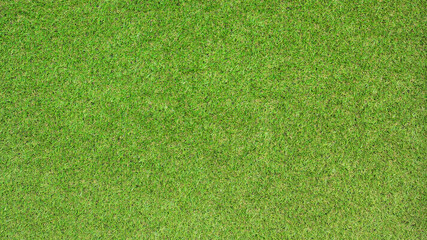 Canvas Print - artificial green grass texture for background