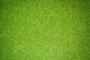 Wall Mural - artificial green grass texture for background