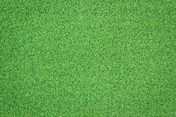 Canvas Print - artificial green grass texture for background
