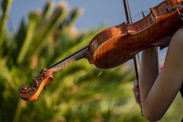 Sticker - Closeup shot of a person playing on a violin