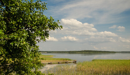 Poster - Usma lake in sunny summer day, Latvia.