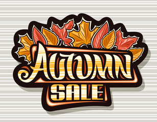 Wall Mural - Vector logo for Autumn Sale, dark decorative sign board with illustration of dry yellow maple leaves and gold cartoon aspen leaf, advertising concept with unique brush lettering for words autumn sale.