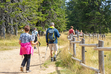 Group of people walking by hiking trail, in Rogla, Slovenia